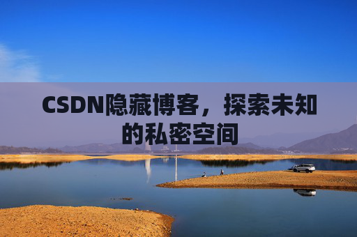 CSDN隐藏博客，探索未知的私密空间